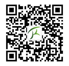 pg电子游戏模拟器在线试玩网站